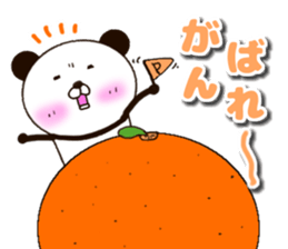 kumasuke of panda 3 yokutukau sticker #15064557