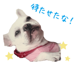 french bulldog banira second edition sticker #15064988