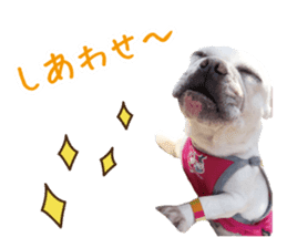 french bulldog banira second edition sticker #15064989