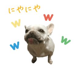 french bulldog banira second edition sticker #15064991