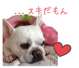 french bulldog banira second edition sticker #15064992