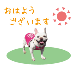 french bulldog banira second edition sticker #15064994