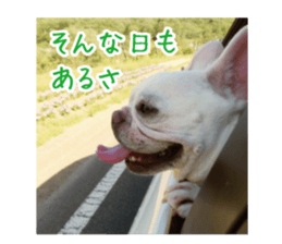 french bulldog banira second edition sticker #15064995