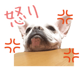 french bulldog banira second edition sticker #15064996
