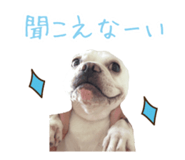 french bulldog banira second edition sticker #15064998