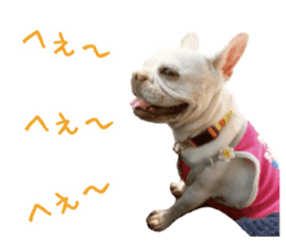 french bulldog banira second edition sticker #15065002