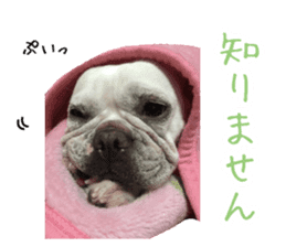 french bulldog banira second edition sticker #15065003