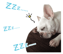 french bulldog banira second edition sticker #15065006