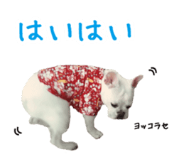 french bulldog banira second edition sticker #15065015