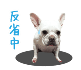 french bulldog banira second edition sticker #15065016