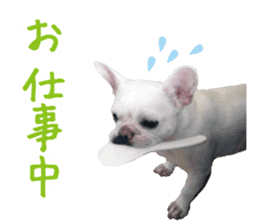 french bulldog banira second edition sticker #15065017