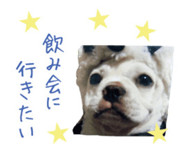 french bulldog banira second edition sticker #15065018