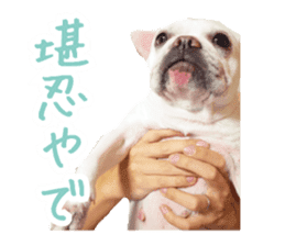 french bulldog banira second edition sticker #15065021