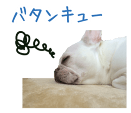 french bulldog banira second edition sticker #15065022