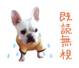 french bulldog banira second edition sticker #15065023