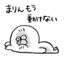 I am marin sticker #15066978