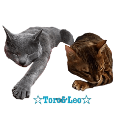 Toro&Leo
