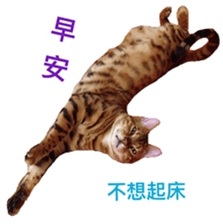 Toro&Leo sticker #15067324