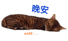 Toro&Leo sticker #15067325