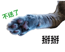 Toro&Leo sticker #15067327