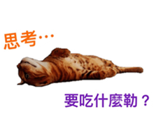 Toro&Leo sticker #15067328