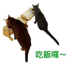 Toro&Leo sticker #15067329