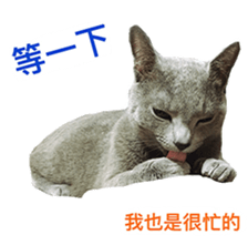 Toro&Leo sticker #15067330