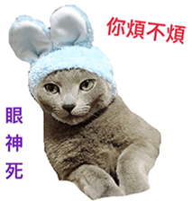 Toro&Leo sticker #15067331