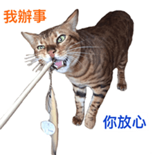 Toro&Leo sticker #15067333