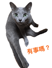 Toro&Leo sticker #15067334