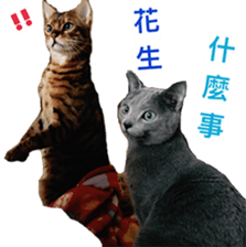 Toro&Leo sticker #15067335