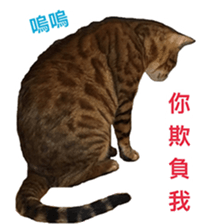 Toro&Leo sticker #15067337