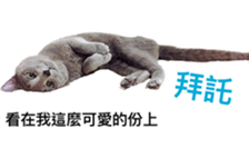 Toro&Leo sticker #15067338