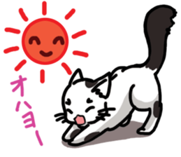 Cat friend sticker #15067461