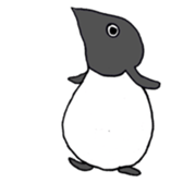 Adelie penguin sticker #15069428