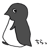 Adelie penguin sticker #15069438