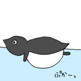 Adelie penguin sticker #15069461