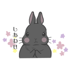 Rabbit "mocochan"3 sticker #15069691
