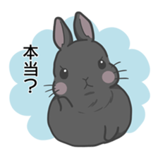 Rabbit "mocochan"3 sticker #15069704