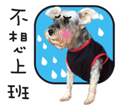 MY DOG LITTLE FAT sticker #15070276