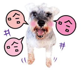 MY DOG LITTLE FAT sticker #15070277