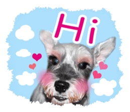 MY DOG LITTLE FAT sticker #15070279