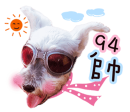 MY DOG LITTLE FAT sticker #15070281