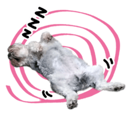 MY DOG LITTLE FAT sticker #15070282