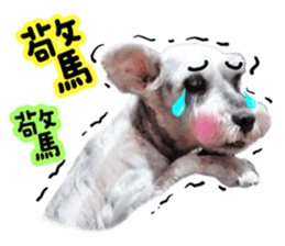 MY DOG LITTLE FAT sticker #15070287