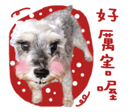 MY DOG LITTLE FAT sticker #15070288