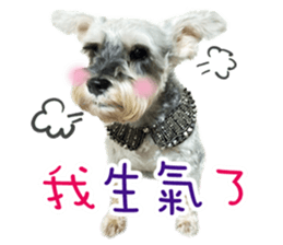 MY DOG LITTLE FAT sticker #15070289