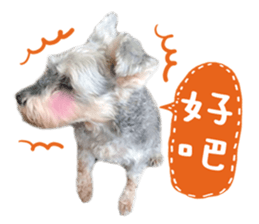 MY DOG LITTLE FAT sticker #15070291