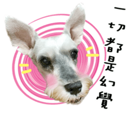 MY DOG LITTLE FAT sticker #15070292