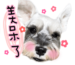 MY DOG LITTLE FAT sticker #15070293